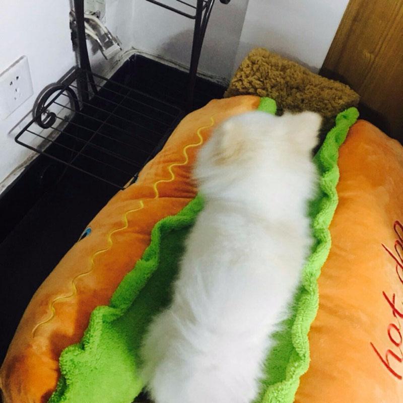 Cama para Pets - Hot Dog - Startech Store